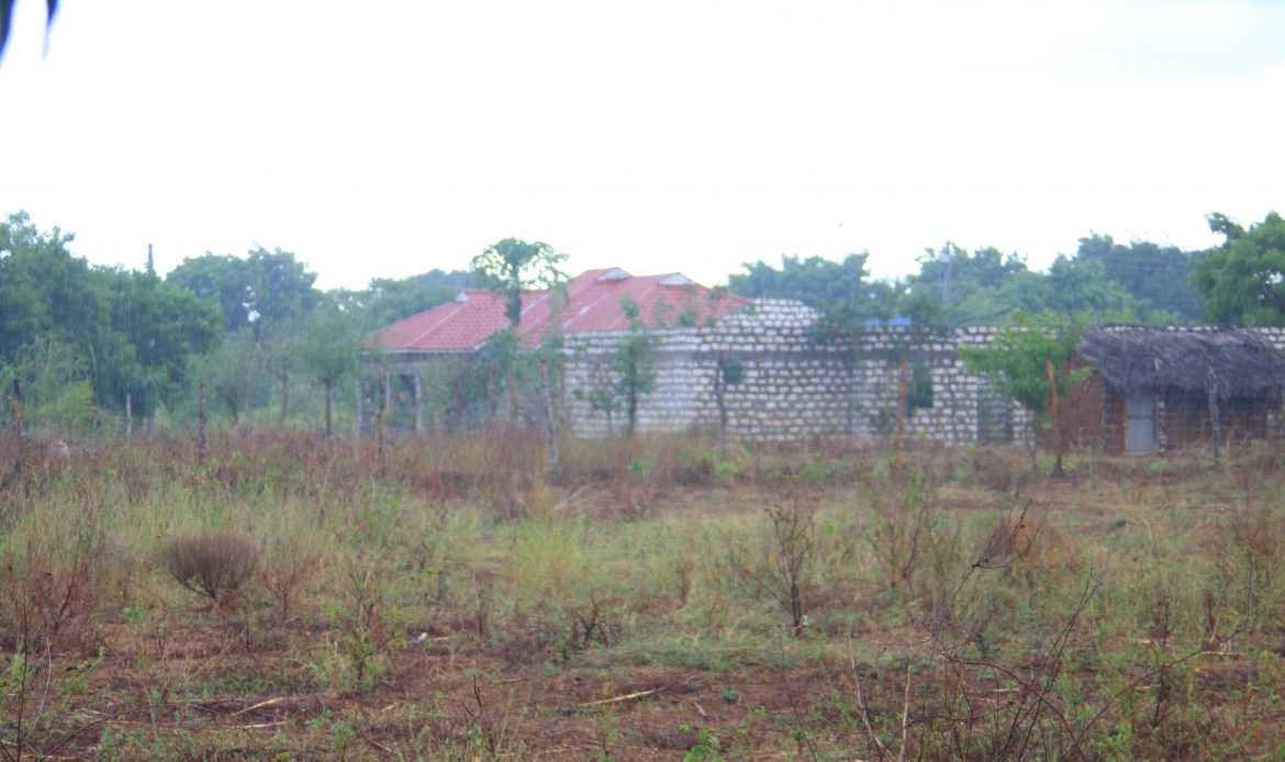 Property Gallery