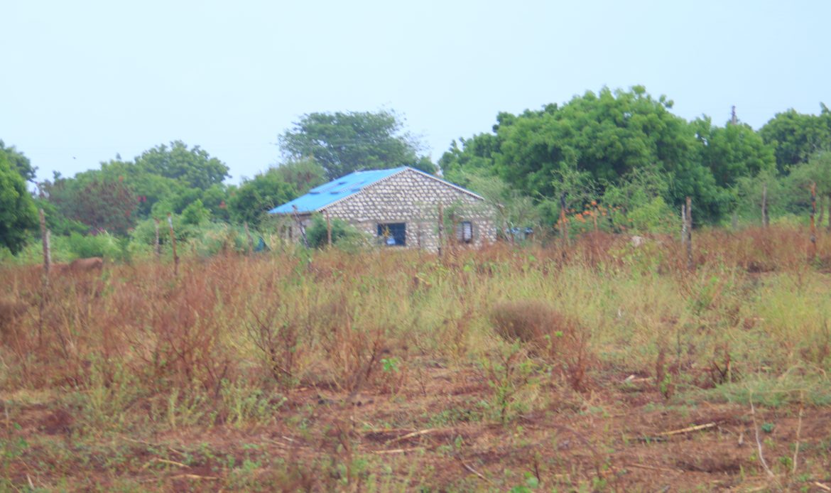 Property Gallery